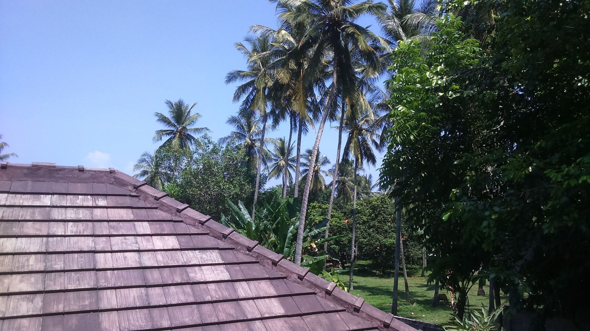 Senggigi Cottages Lombok Zewnętrze zdjęcie