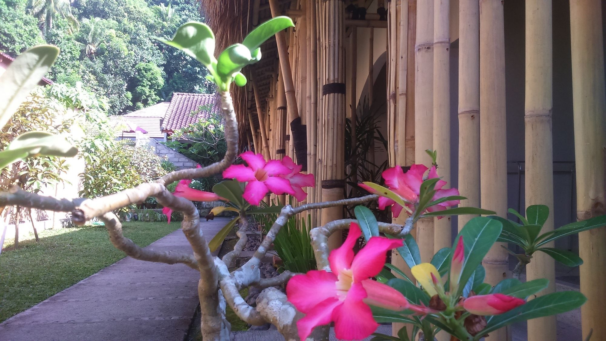 Senggigi Cottages Lombok Zewnętrze zdjęcie